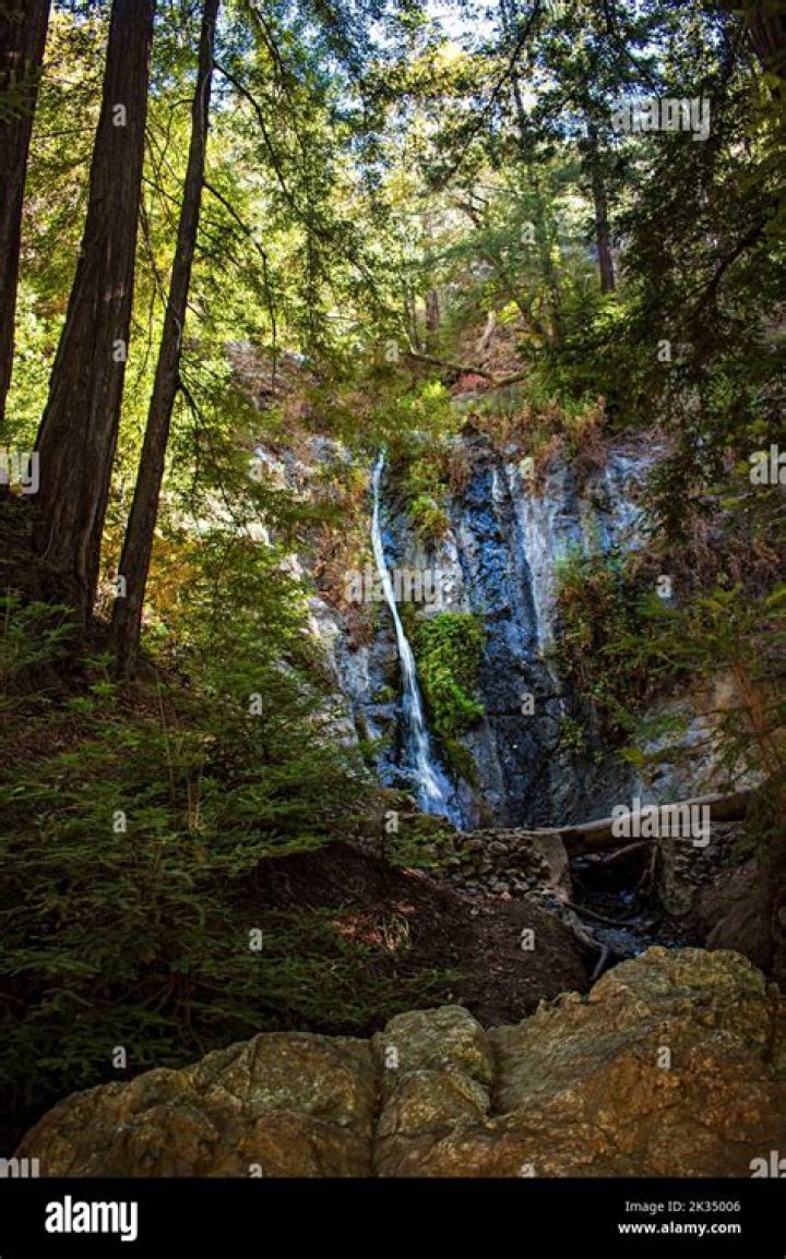 Massey Big Sur State Park: A Comprehensive Guide to California's Natural Gem
