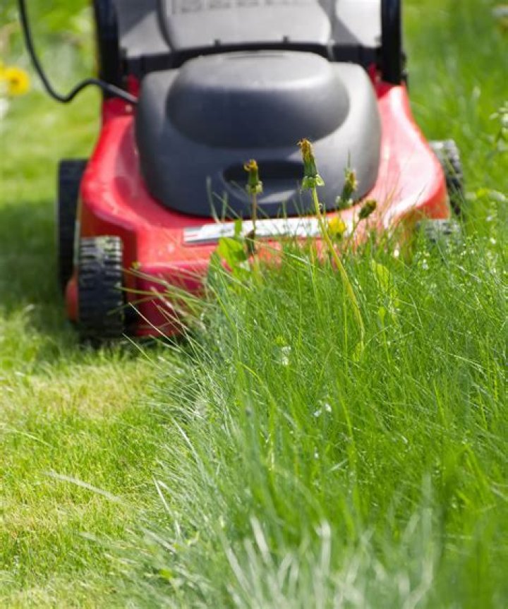 Mastering arc018: Your Guide to Mowing Wet Grass Without the Hassle