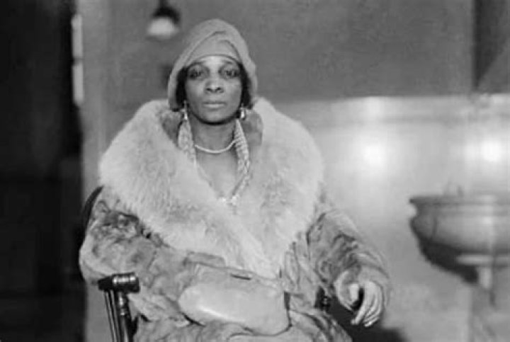 Mayme Hatcher Johnson Born: Uncovering the Early Life of a Harlem Icon