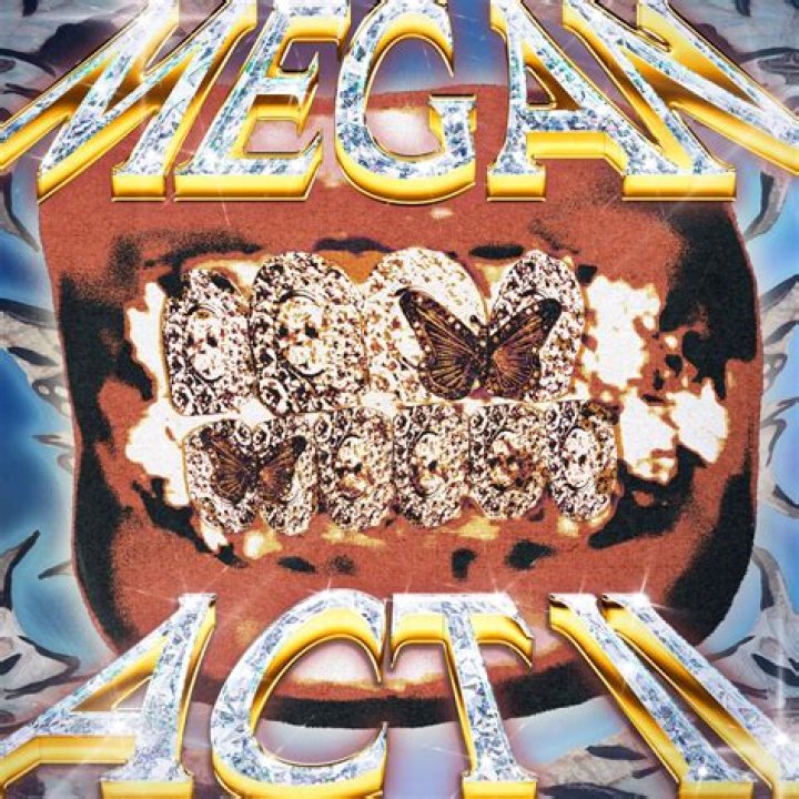 Megan 2: The Rise of Megan Thee Stallion's Second Album