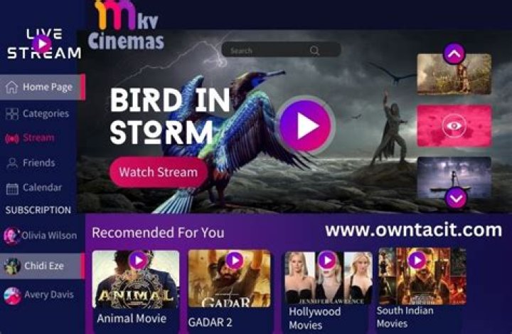 MKV Cinemas Best Movies and Shows Streaming Now
