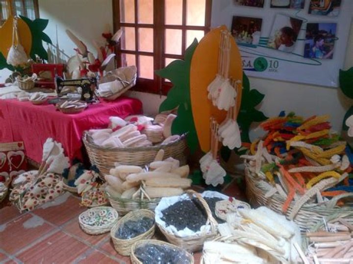 Moverulz: The Ultimate Guide to Elevating Your Moving Experience