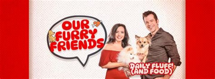 Neko Sama Human or Not: The Ultimate Guide to Understanding Our Furry Friends