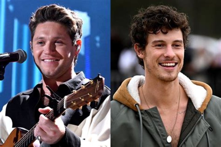 Niall Horan and Shawn Mendes: The Ultimate Guide to Their Bromance