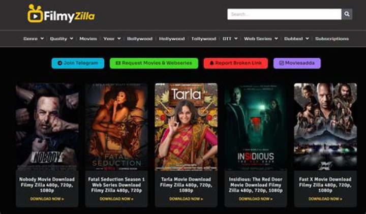 No Future Download in Filmyzilla: Your Ultimate Guide