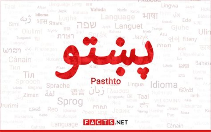 Pashto Six: Six Fascinating Facts About This Vibrant Language