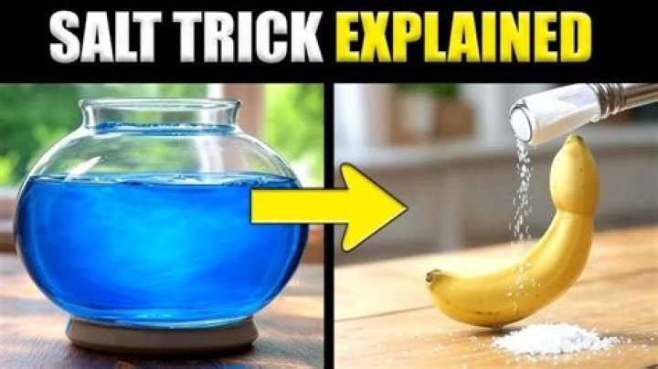 Penis Salt Trick: The Hype, The Science, and The Truth Behind It