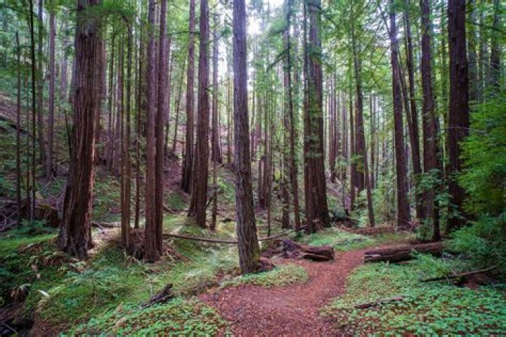 prmovies Access: Why You Might See "Site Won't Allow Us" Today