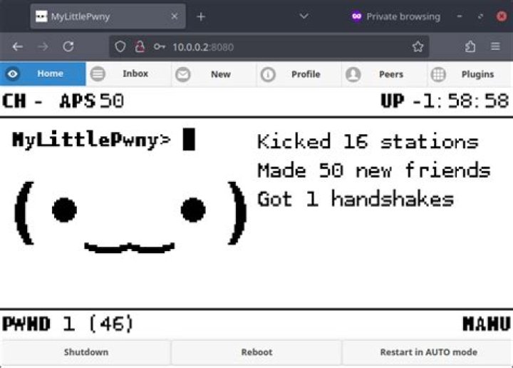 Pwnagotchi: The Fascinating World of AI-Powered WiFi Hacking