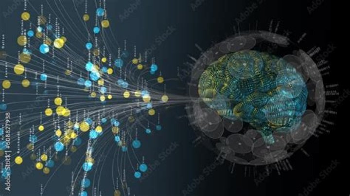 Softwe Ifsa: How Digital Brains Tell Computers What to Do