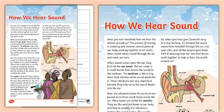Sone 303 Video: Unpacking How We Hear Sound