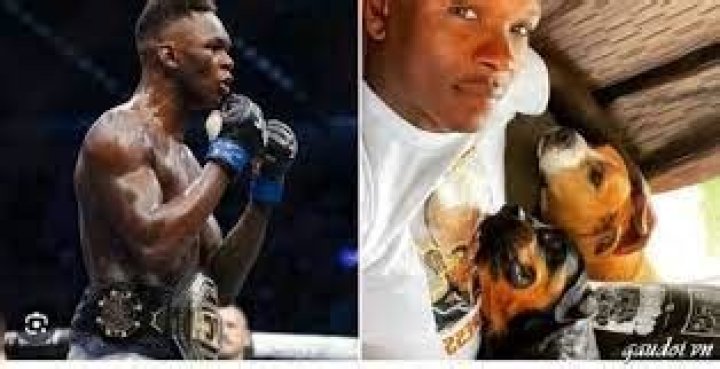 The Heartwarming Moment: Exploring the Israel Adesanya Dog Video That Captured the Internet