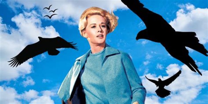 The Legendary Tippi Hedren: From Hitchcock&rsquo;s Muse to Animal Advocate