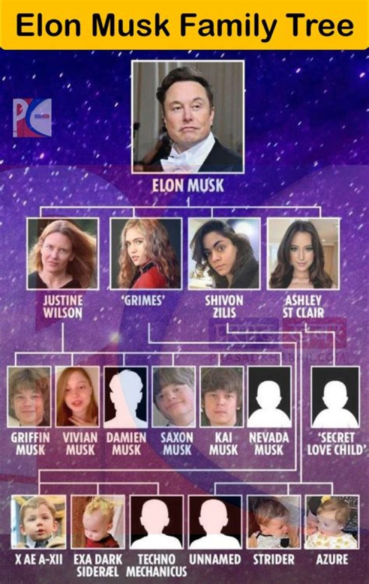 The Ultimate Guide to Elon Musk and Kai Musk: A Sibling Legacy in Innovation