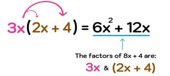 The X Factor: Understanding 'x*x x*x is equal to 2024' and Its Impact
