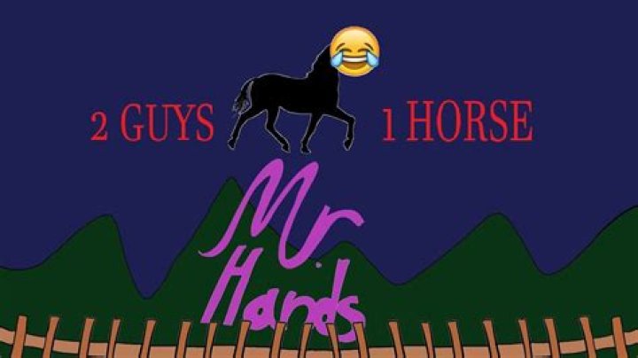 Two Guys One Horse