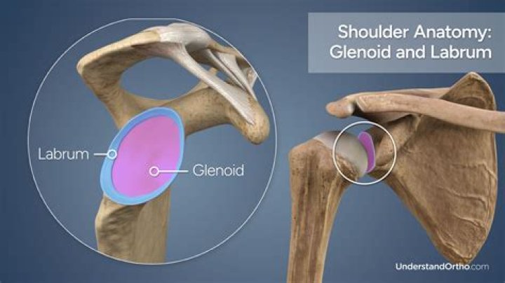 Uncovering the Influence of Lenoid Greyser: A Look at Programming's Early Days