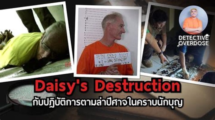 Understanding Daiseys Destruction: Why Simple Things Fade Away