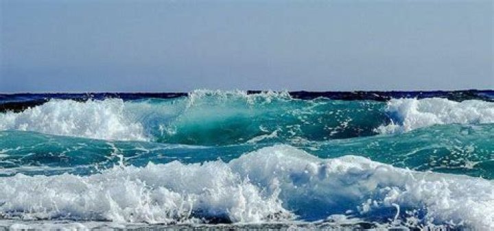 Understanding @paleseafoam of Leaks: The Subtle Digital Currents