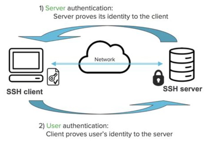 Understanding RemoteIoT Platform SSH Keys for Device Protection