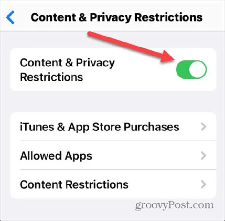 Understanding the charlie chase of leaks: A Look at Online Content and Privacy