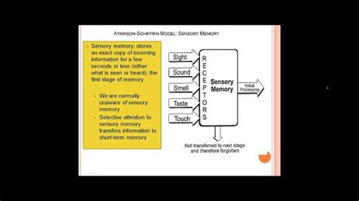 Understanding the Crucial Work of Dr. Oliver Williams, Pathologist