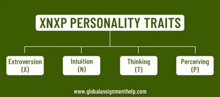 Understanding the XNXP Personality Type Test: What It Means for You Today