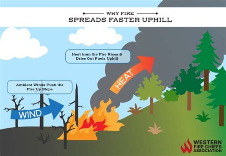 Understanding **Viral Cand**: What Makes Content Spread Like Wildfire?