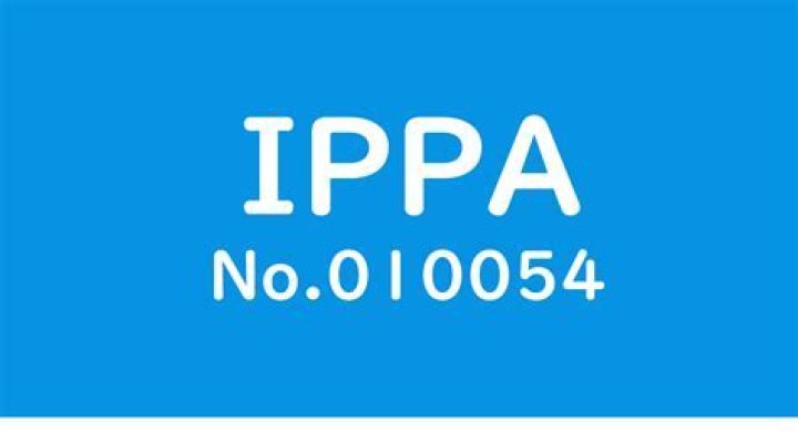 Unpacking 010054 IPPA: A Key Identifier for Modern Industry and Compliance