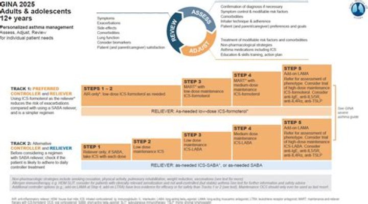 Unpacking 'Gina Rizzo': What the Latest Asthma Guidance Means for Your Health