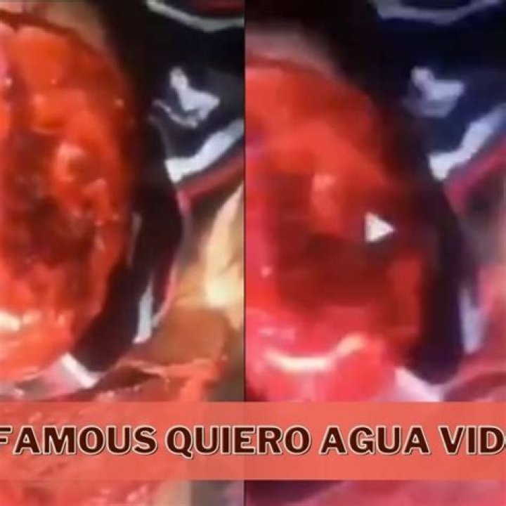Unpacking the 'Quiero Agua Video': What This Viral Moment Means for Spanish Learners