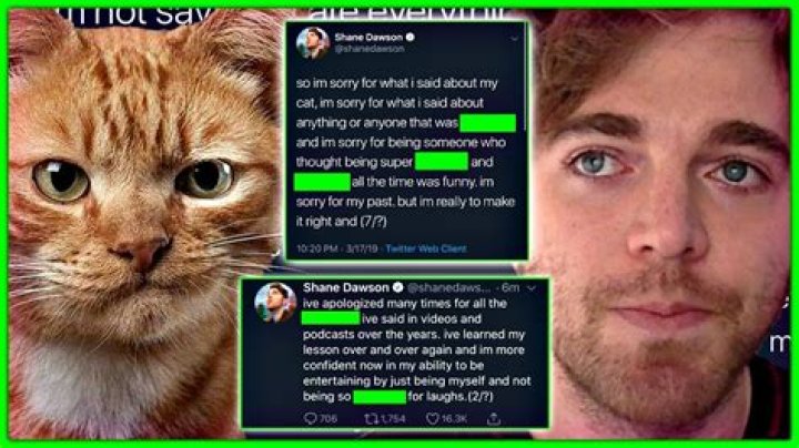 Unpacking the Shane Dawson Cat Drama: What Really Happened?