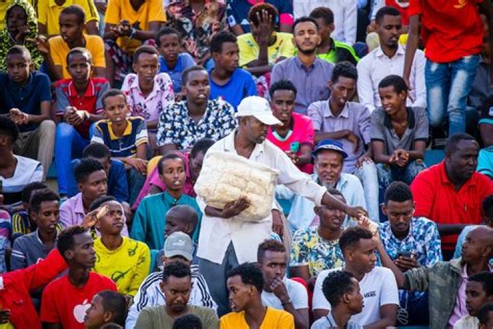 Unpacking Wasmo: A Look at Somali Culture and Identity Today