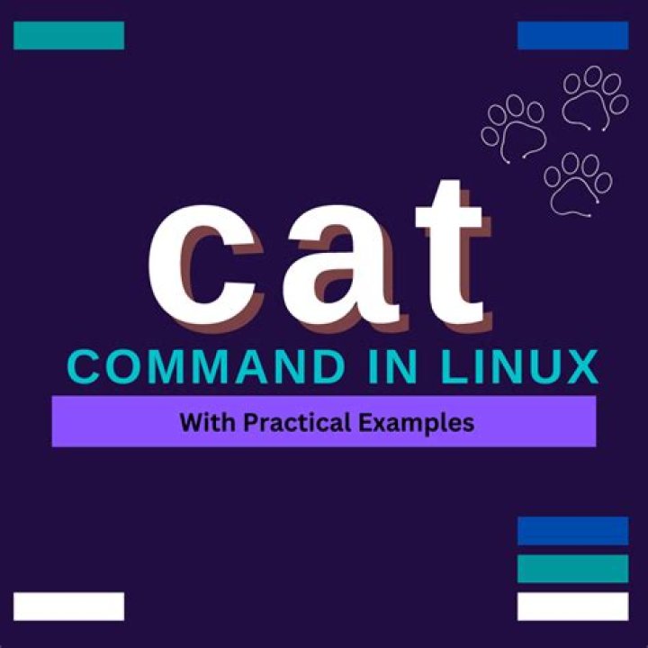 Unraveling the `cat` Command: A `cat deely` Dive into Its Many Uses Today