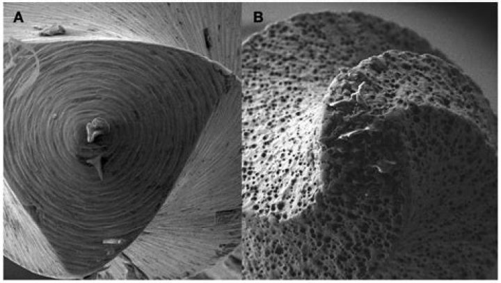 Unraveling the Meaning of Sotwe Türk Ifla: What You Should Know