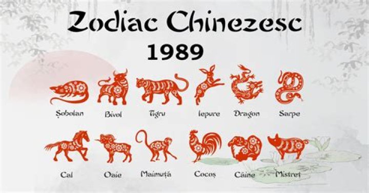 Unveiling the Mysteries of the 1989 Chinese Zodiac: Your Ultimate Guide