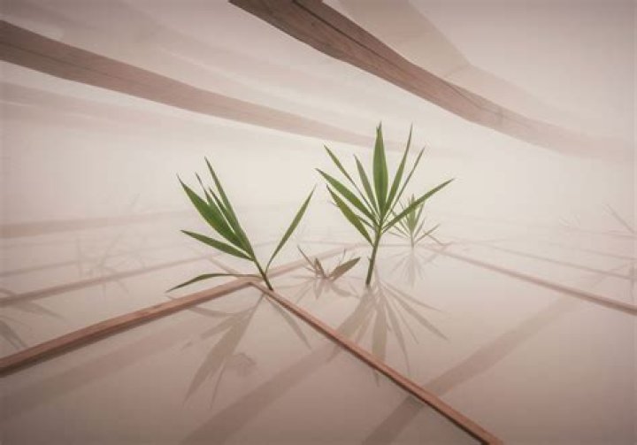 Unveiling the Truth: Understanding the Impact of Sex Picture in Today's Digital World