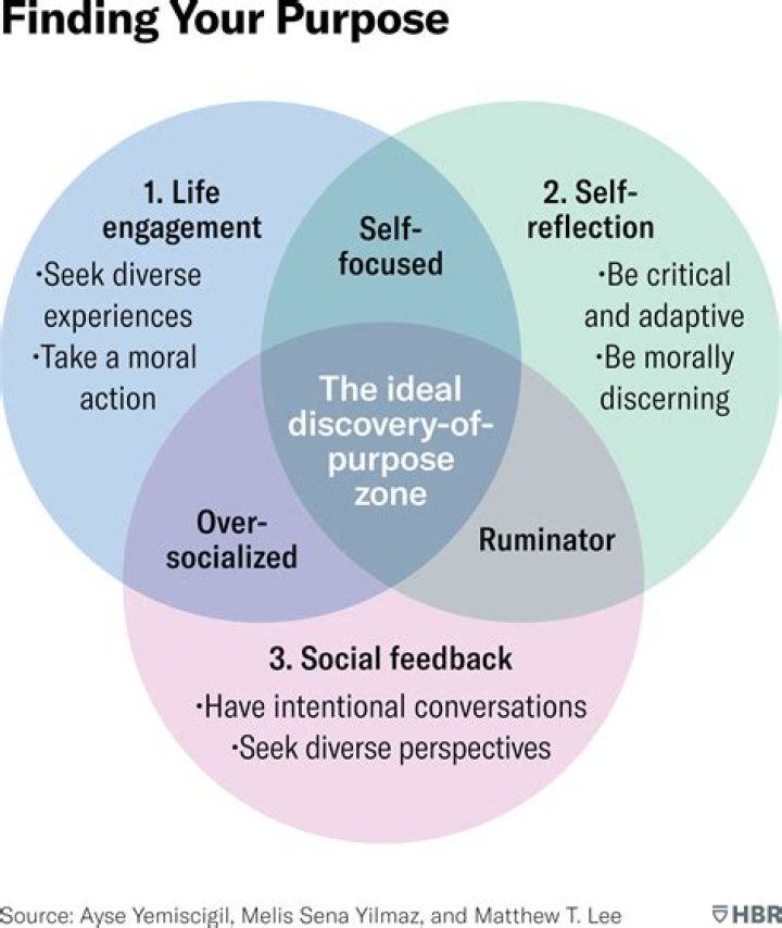 Vegamovue: The Ultimate Guide to Discovering Your Streaming Needs