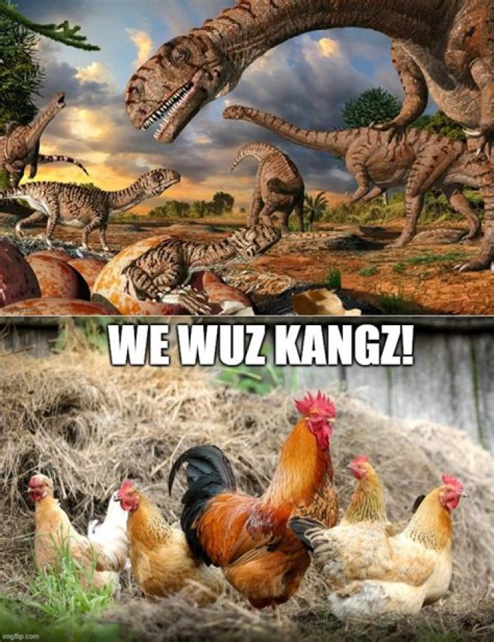We Wuz Kangz Meme: The Untold Story Behind the Viral Sensation