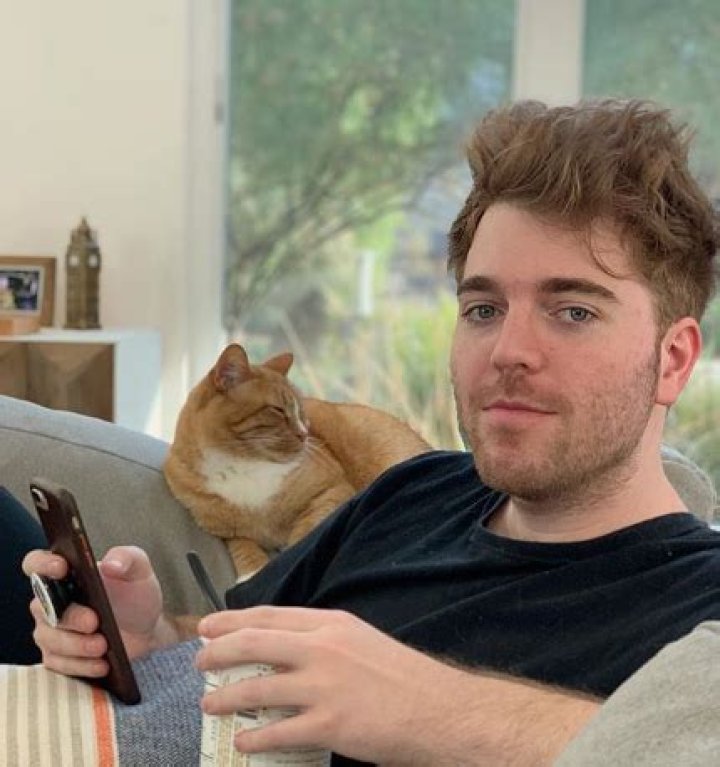 What Did Shane Dawson Do to His Cat? Unpacking the Controversy