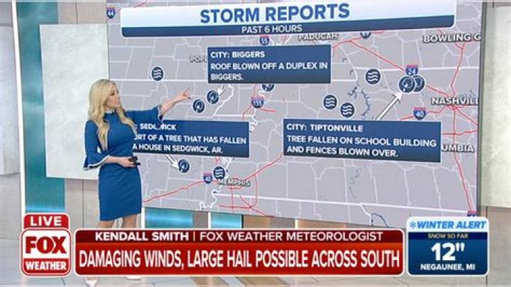 What Happened To Kendall Smith On Fox Weather