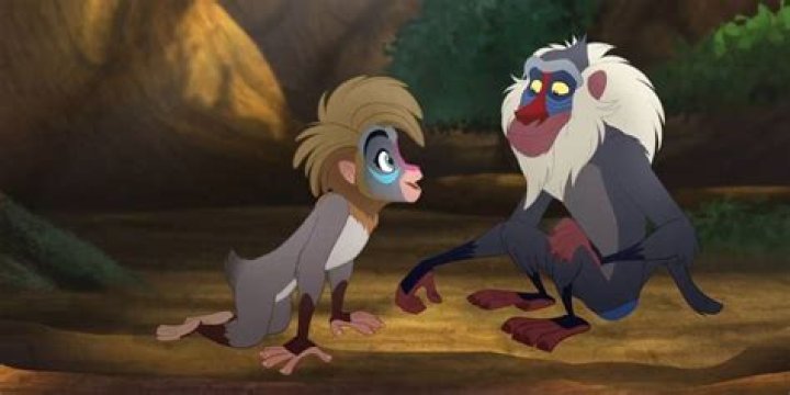 What is Rafiki? Discover the Meaning and Significance of This Iconic Word