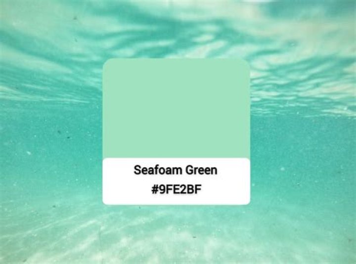 What to Do About a Pale Seafoam Leak: Your Guide