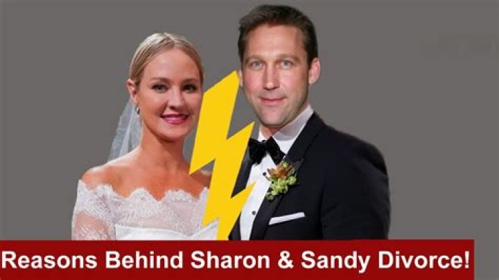 Who is Sandy Corzine Married To? Unraveling the 'Sandy' in Your Search