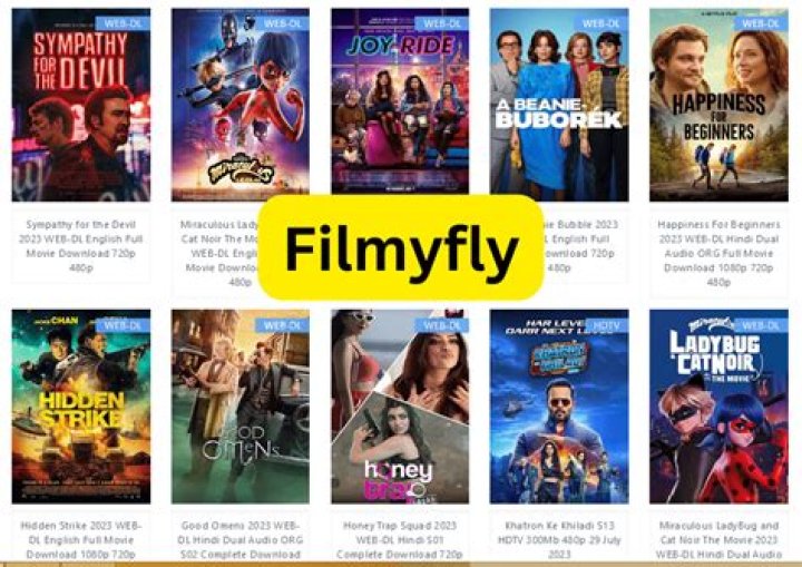 Why FilmyFly Com 2023 Download is Your Ultimate Solution for Entertainment