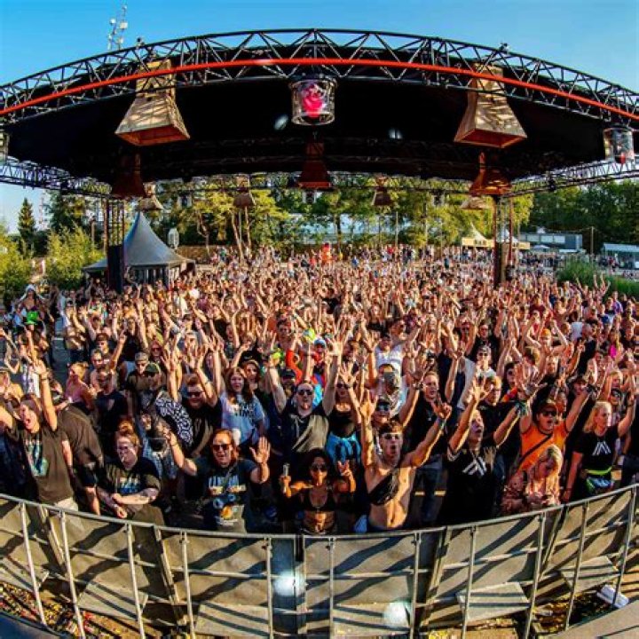 Why maal49.com is Your Ultimate Destination for Trusted Content