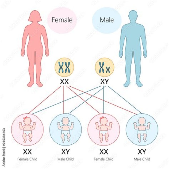 X*X*Xx Is Equal To 2023